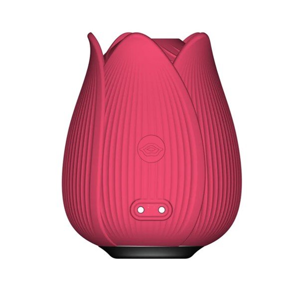 Rose Vibrator With Particle Sucking Mouth